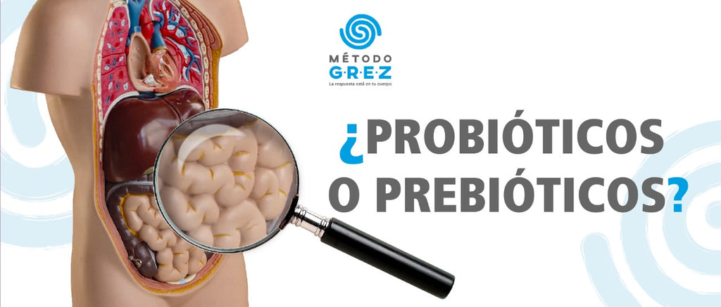 ¿Probióticos o prebióticos?